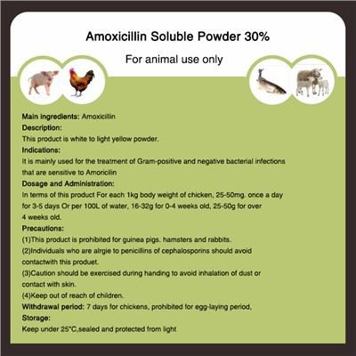 Amoxicilline oplosbaar poeder 30 procent